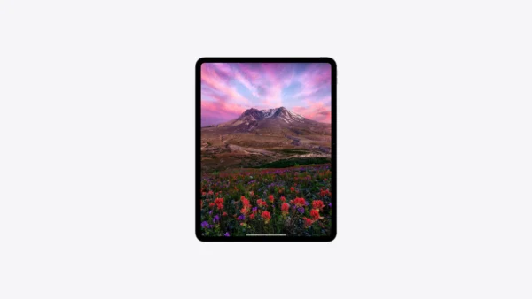 APPLE IPAD PRO 13 M4 WIFI 256GB - Imagen 2