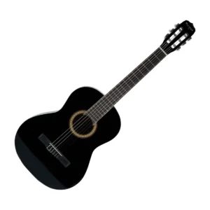GUITARRA ACUSTICA VIZCAYA ARCG44 BK