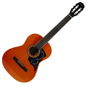 GUITARRA ACUSTICA VIZCAYA 39 ARFG94